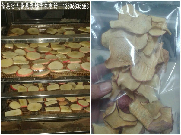 蘋(píng)果片烘干機(jī)